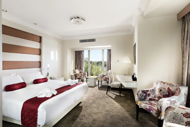 غرفة سوبيريور بسرير كينج، Swan River Hotel 1/3