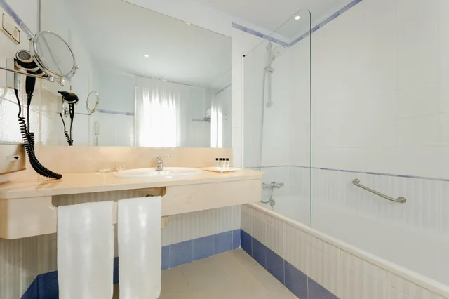 غرفة تنفيذية مفردة بسرير مزدوج، Abba Euskalduna Hotel 2/2