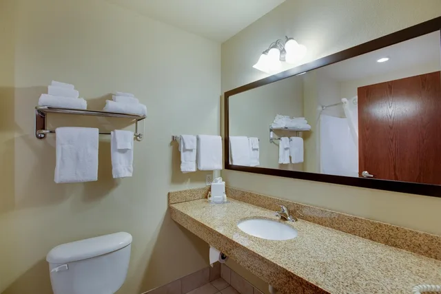 Room, King Bed, Cobblestone Inn & Suites Durand 5/8
