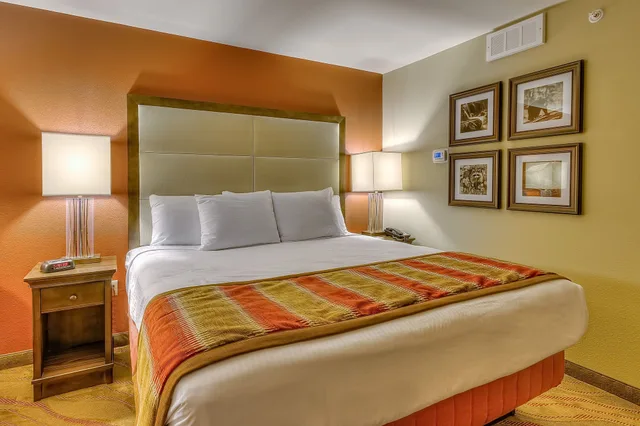 Room, King Bed, Accessible, La Quinta Inn Suites Pigeon Forge 1/10
