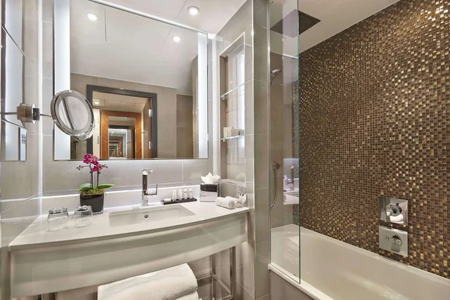 غرفة ديلوكس بسرير كينج بإطلالة على النهر بشرفة، Hyatt Regency London Albert Embankment 3/5