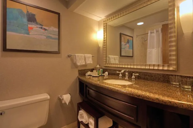 جناح بسرير كينج بغرفة نوم واحدة لذوي الإعاقة، Hilton Houston Westchase 2/3