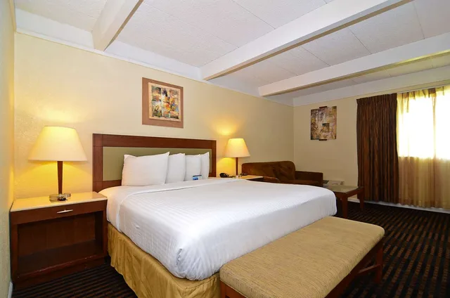 جناح بسرير كينج لذوي الإعاقة، Lexington Inn And Suites-N.W. Chicago/Elgin 1/1