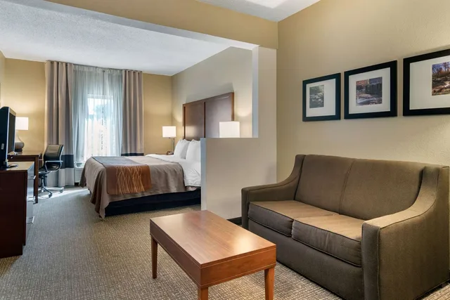 جناح بسرير كينج، Comfort Inn Suites Suwanee Sugarloaf 3/4