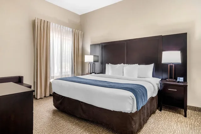 Business, Suite, King Bed, Sofa, Comfort Inn & Suites Atlanta/Smyrna 1/3