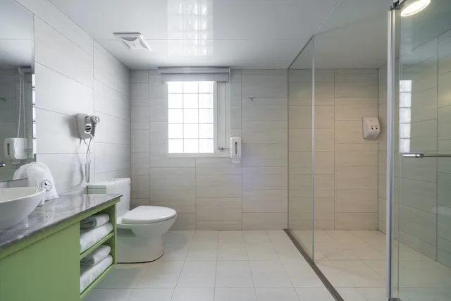 غرفة قياسية بسرير مزدوج، Xinshe Hotel Hsinchu 4/5