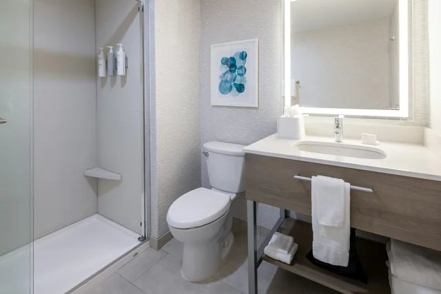 جناح بسرير كينج بغرفة نوم واحدة بمطبخ، Hampton Inn & Suites Venice Bayside South Sarasota 3/4