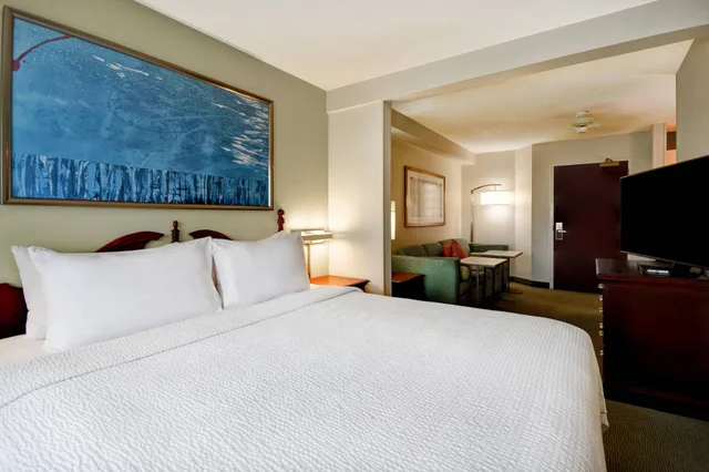 جناح بسرير كينج مع أريكة، Springhill Suites Atlanta Buford Mall of Georgia 2/10