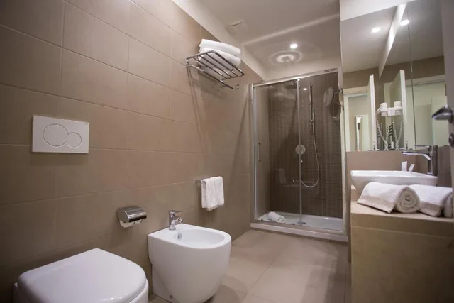 Superior Double Single Use Room، Airone City Hotel 1/1