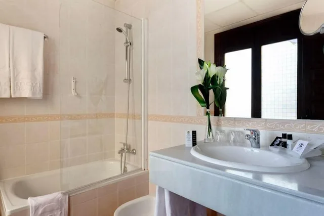غرفة كلاسيكية مفردة بسريرين منفصلين، Sercotel Toledo Imperial 7/8