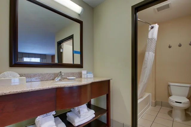 جناح استوديو بسرير كينج، Hampton Inn And Suites Denver Littleton Co 3/4