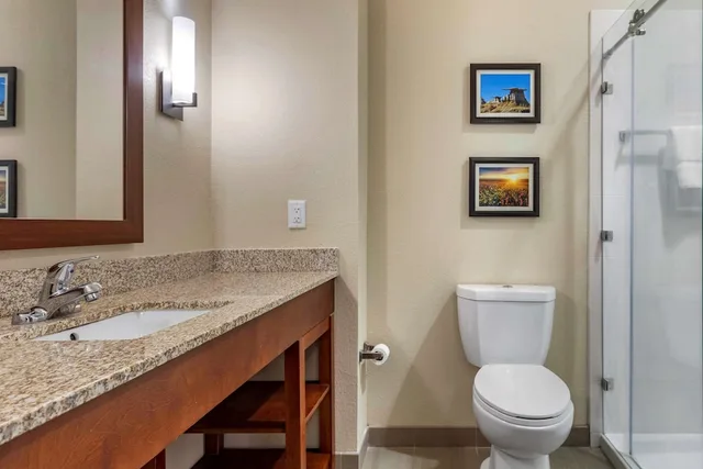 جناح بسرير كينج لذوي الإعاقة، Comfort Inn And Suites Edgewood 3/3