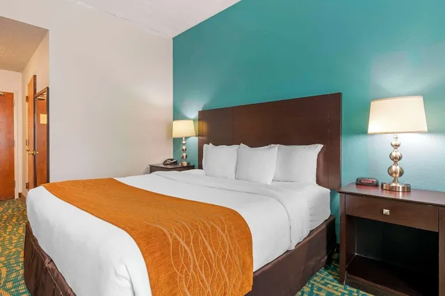 غرفة قياسية بسرير كينج، Comfort Inn & Suites Fort Lauderdale West Turnpike 7/10