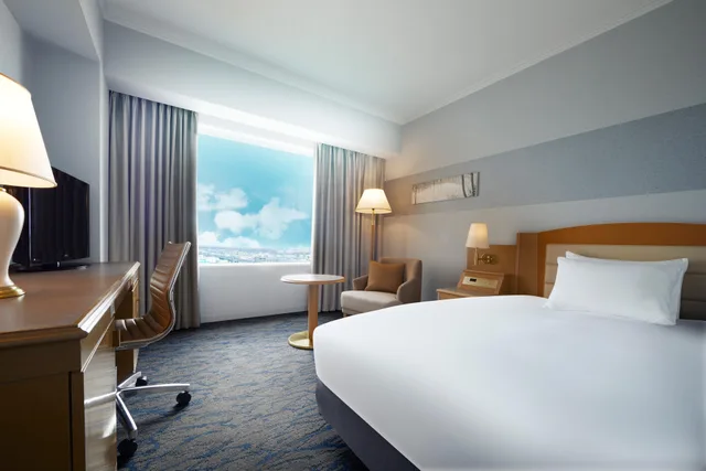 غرفة قياسية، Ana Crowne Plaza Chitose 1/5
