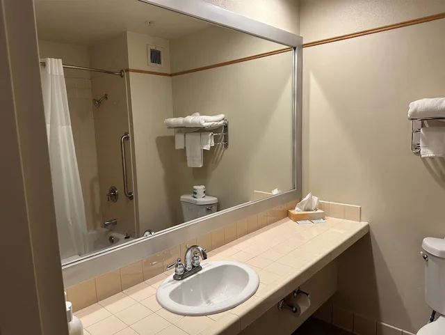 غرفة ديلوكس بسرير كينج، Rocklin Park Hotel, Trademark Collection by Wyndham 5/7