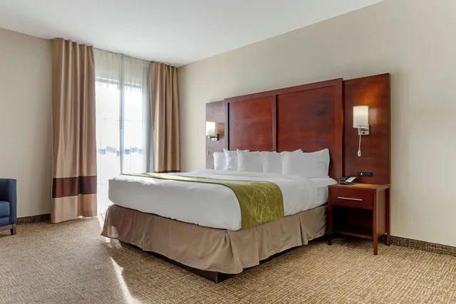 جناح بسرير كينج مع أريكة، Comfort Suites Piedmont - Greenville South 1/3