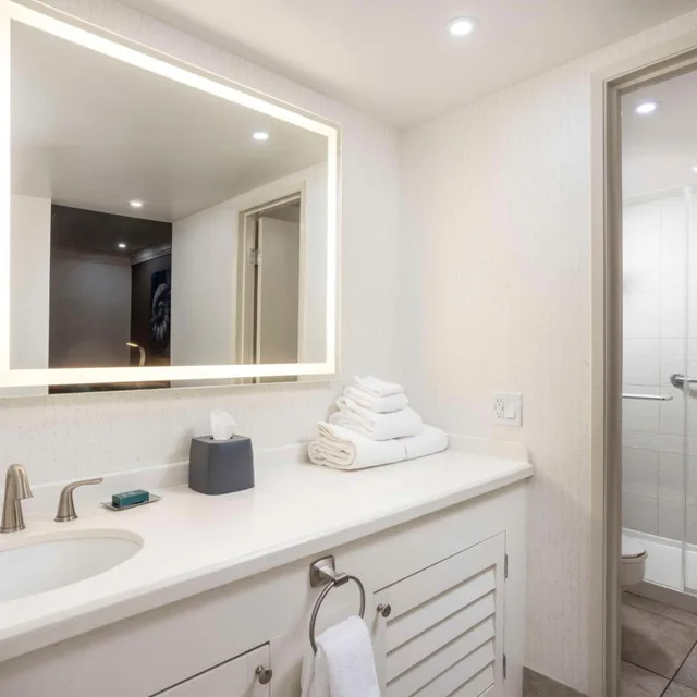 جناح جونيور بسريرين كوين مع أريكة، DoubleTree by Hilton San Diego Bayside 4/4