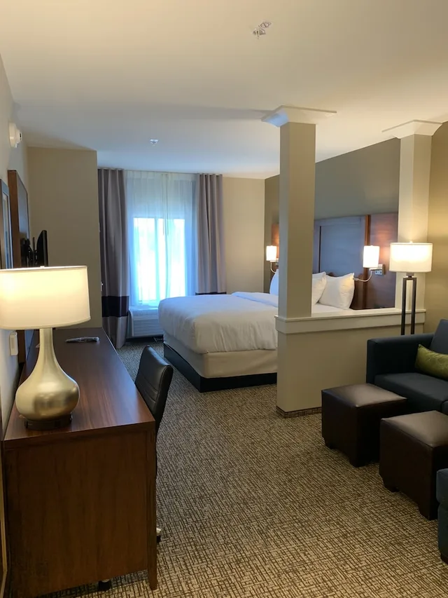 جناح بسرير كينج مع أريكة لذوي الإعاقة، Comfort Inn & Suites Clarkston Pine Knob Area 3/6