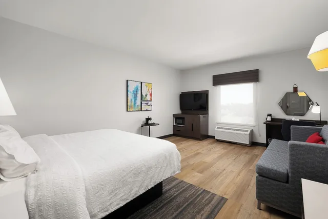 غرفة بسرير كينج مع أريكة لذوي الإعاقة، Hampton Inn Suites Mcallen 3/10
