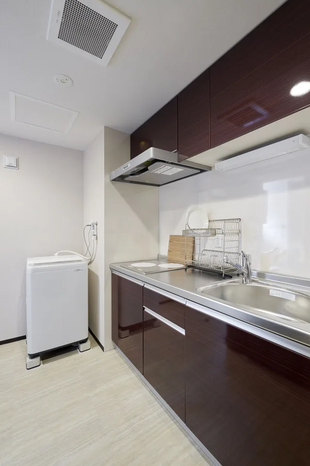 جناح فاخر بسريرين مزدوجين وفرشتي فوتون بإطلالة على المدينة، Randor Residence Susukino Suites 2/2