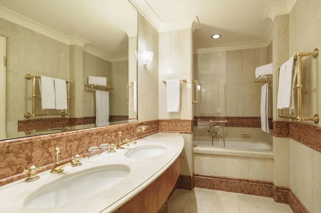 غرفة بريميوم بشرفة مفردة بسرير مزدوج، Eurostars Grand Hotel Wien 2/2