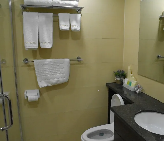 غرفة قياسية بسرير مزدوج وسرير فردي، Serenti Hotel 10/10
