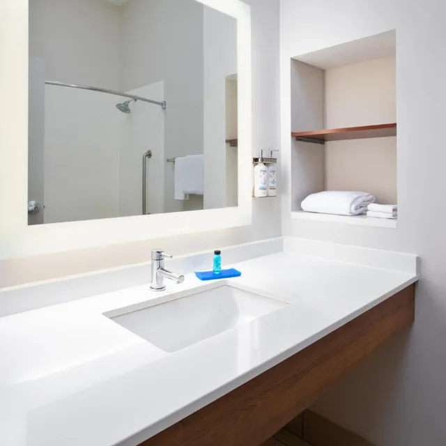 غرفة قياسية بسرير مزدوج، Holiday Inn Express Hotel Suites Athens 2/5