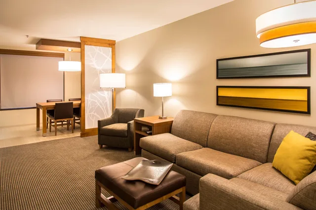 جناح بسرير كينج مع أريكة لذوي الإعاقة، Hyatt Place Charlottesville 2/4