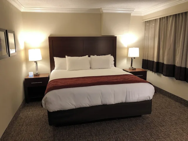 غرفة قياسية بسرير كينج، Comfort Inn and Suites At Copeland Tower 2/5