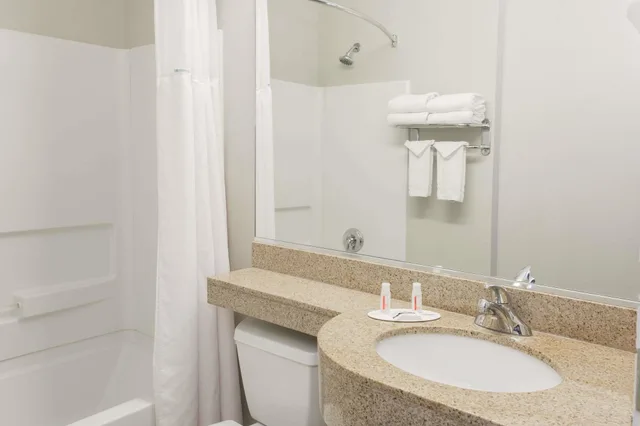 جناح استوديو بسرير كوين، Red Roof Inn Port Charlotte - Punta Gorda 1/1