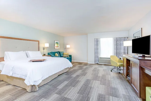 غرفة بسرير كينج مع أريكة لذوي الإعاقة، Hampton Inn and Suites Macon I-475 1/2