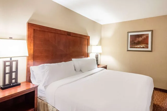 غرفة بسرير كينج لذوي الإعاقة، Holiday Inn Friso by IHG 2/4