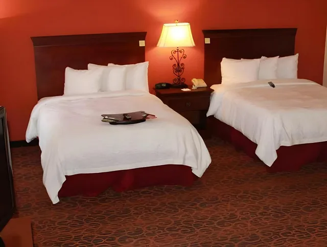 جناح ديلوكس بسريرين كوين بغرفة نوم واحدة مع أريكة، Hampton Inn Suites Houston Katy 1/1
