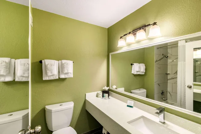 Room, King Bed, QUALITY INN AND SUITES PLANO EAST RICHARDSON 8/8