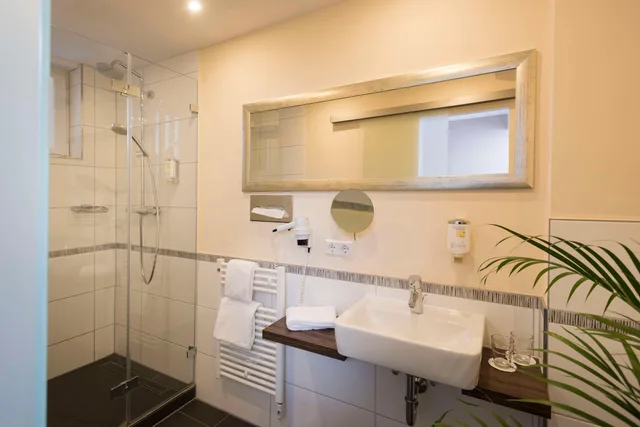 غرفة قياسية مفردة، Best Western Hotel Lamm 5/6