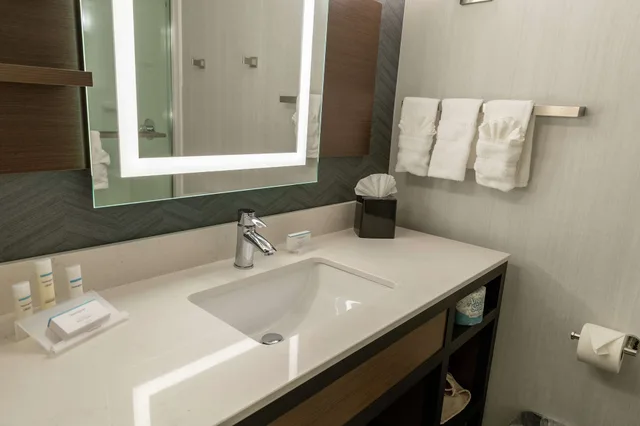 Suite, King Bed, Hilton Garden Inn West Des Moines 2/5