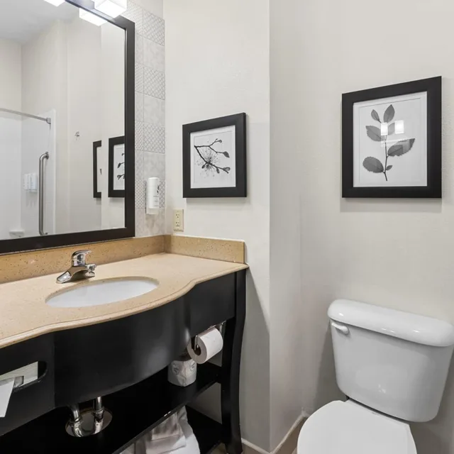 1 Bedroom, Suite, Queen Bed, Country Inn & Suites By Radisson, Bowling Green, KY 6/7