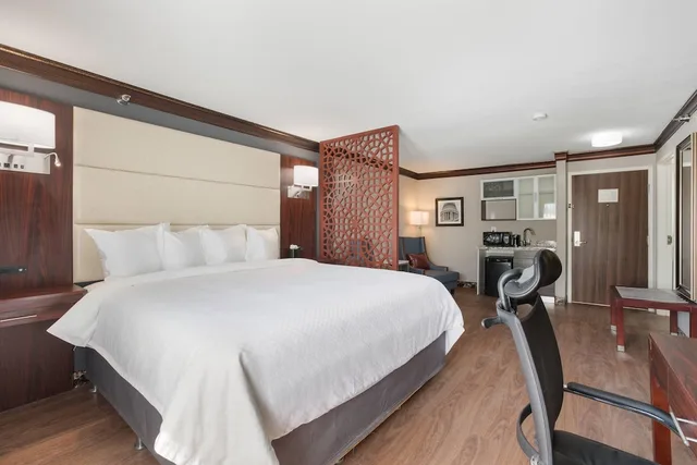 جناح بسرير كينج بحوض جاكوزي، The Leo Collection Detroit, an Ascend Collection Hotel 1/10