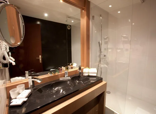 جناح بسرير كينج، Palladia Hotel 5/6
