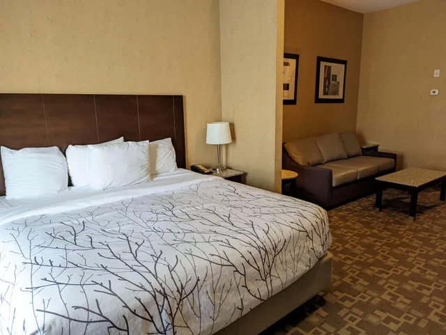 Suite, King Bed, Best Western Plus South Edmonton Inn and Suites 2/8
