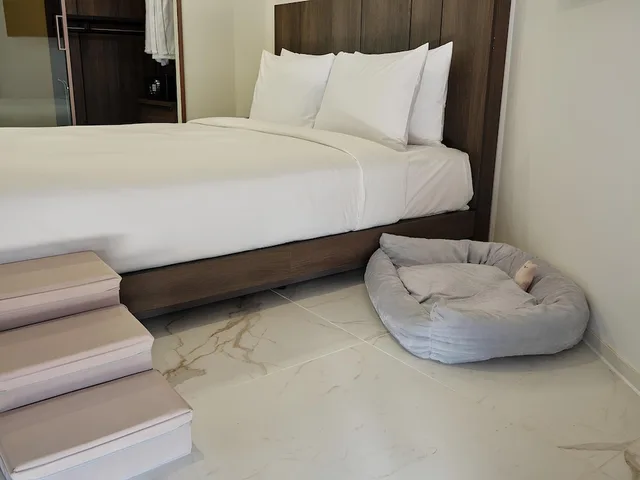 Signature, Botanic, Suite, 2 Double Beds, Pet Friendly، Hotel The Botanik Sewoon Myeongdong 4/8