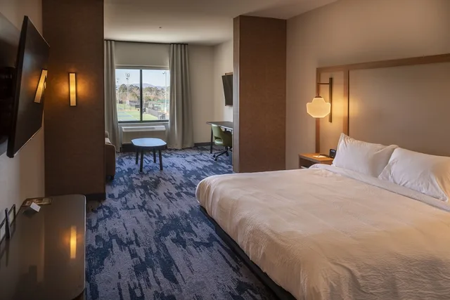 Standard, King Bed, Accessible, Fairfield Inn & Suites by Marriott Rome 1/2