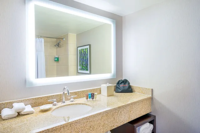 1 Bedroom, Astor, Tower, Suite, 2 Queen Beds، Astor Crowne Plaza New Orleans French Quarter, An Ihg Hotel 8/13