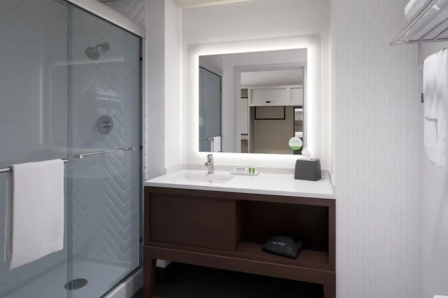 غرفة بسرير كينج، Holiday Inn McAllen – Medical Center Area 3/3