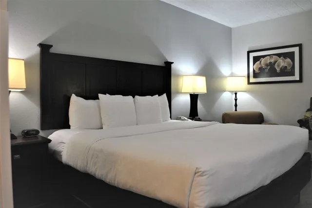 غرفة قياسية بسرير كينج لذوي الإعاقة، Best Western Paramus Hotel & Suites 1/7
