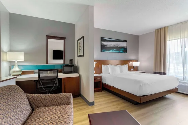 جناح بسرير كينج مع أريكة، Comfort Suites Kodak Sevierville 3/5