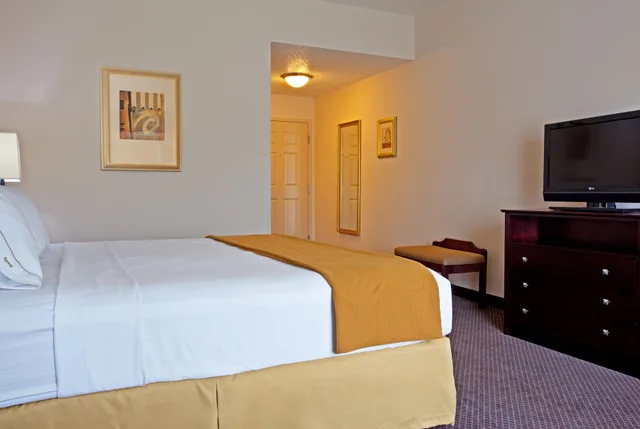 غرفة قياسية بسرير فردي، Holiday Inn Express Hotel And Suites Chicago Arpt Area West Ohare 3/3