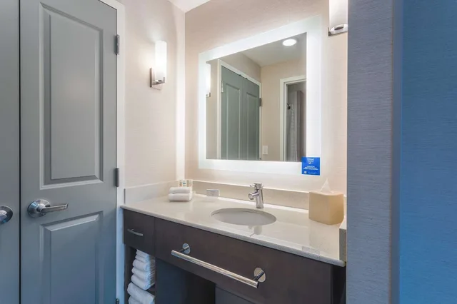 جناح بسرير كينج بغرفة نوم واحدة، Homewood Suites By Hilton Reston Va 3/5
