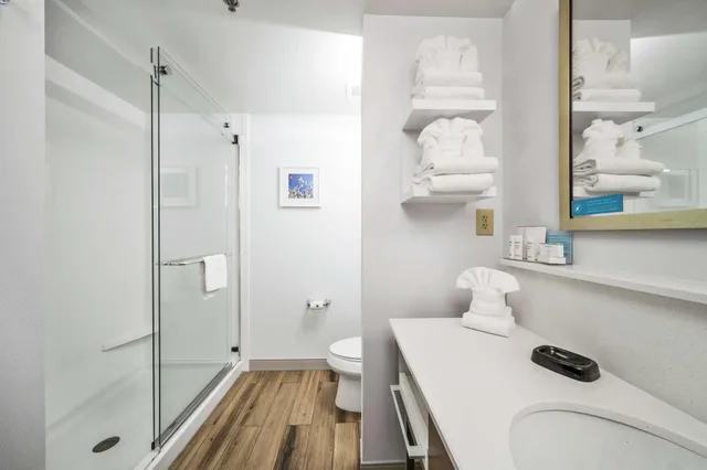 استوديو بسرير كينج مع أريكة، Hampton Inn Wilson Downtown 3/3