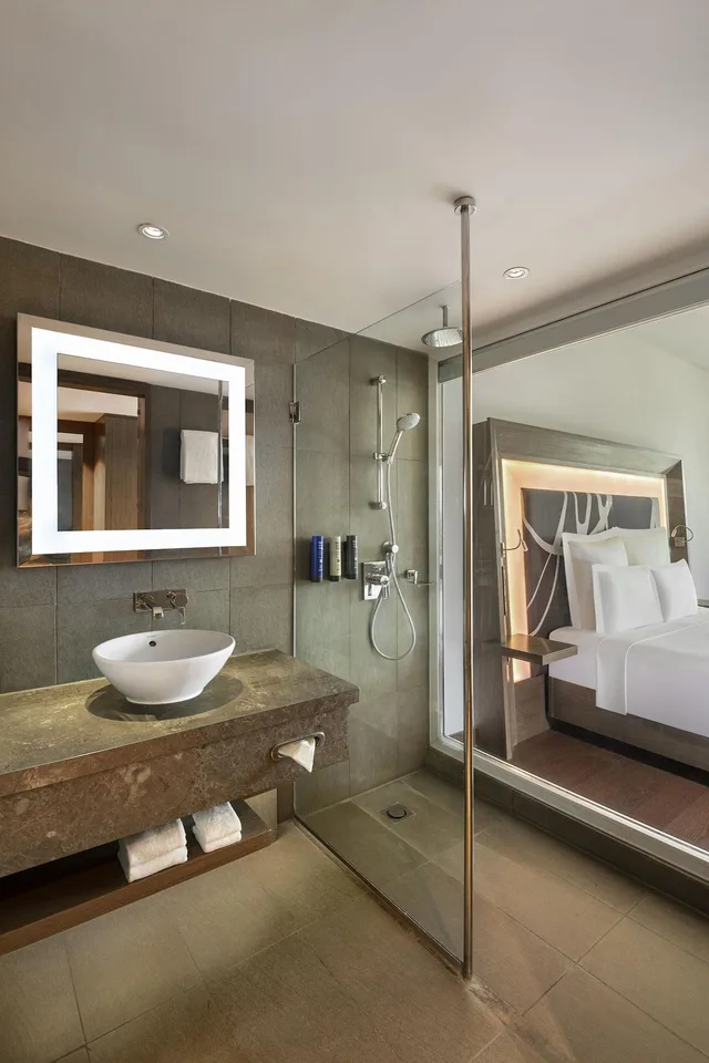 غرفة سوبيريور بسرير كينج مع دخول صالة النادي، Novotel New Delhi Aerocity 6/6